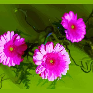 Composition rose et vert