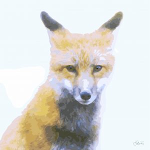 Animaux015