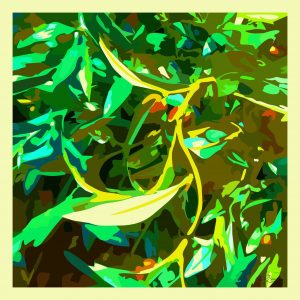 Arabesques