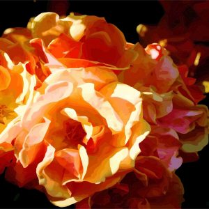 Bouquet de roses orangées