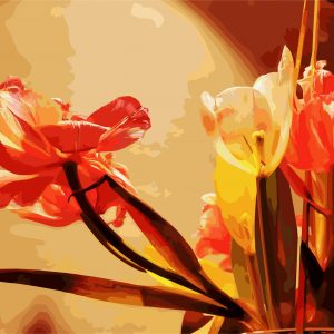 Tulipes sur fond brun