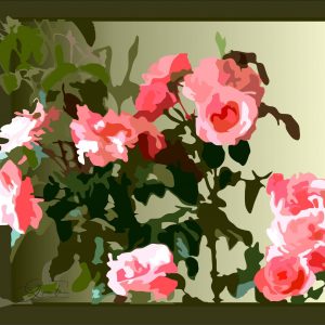Roses légères