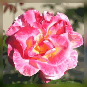 Rose à coeur jaune