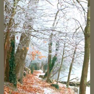 Au bord de l'étang 1