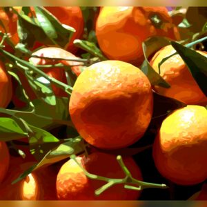 Les oranges