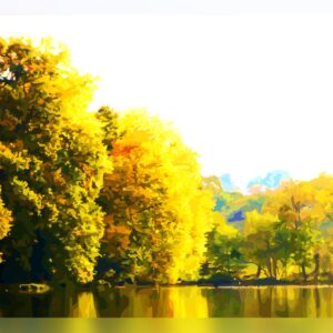 Matin d'automne
