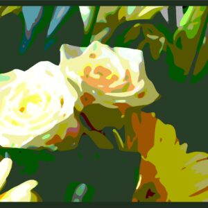 Roses abstraites