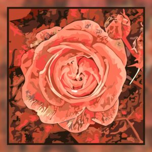 Rose de sang