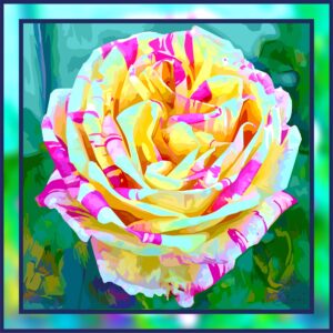 Dessin de rose