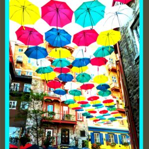 Les parapluies en l'air
