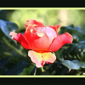 Rose pomme tour vert