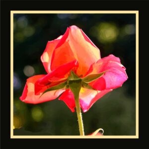 Rose rouge tour jaune