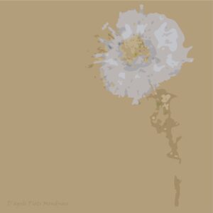 Piotr Mondrian (1872 - 1944) 05